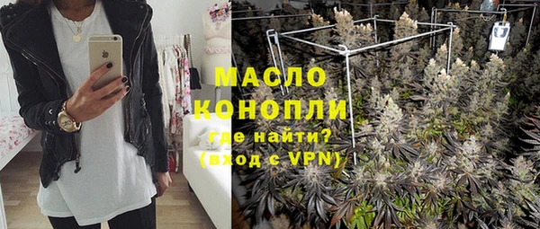дживик Абаза