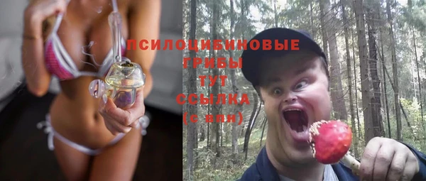 дживик Абаза