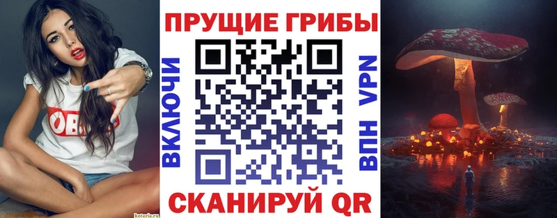 где можно купить наркотик  Адыгейск  Псилоцибиновые грибы Psilocybe 